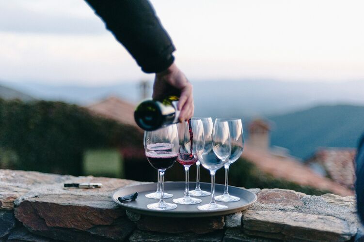 Cata de Vino