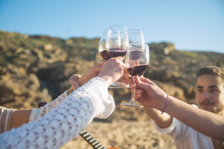 Cata de Vino