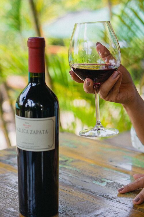 Botella tinto